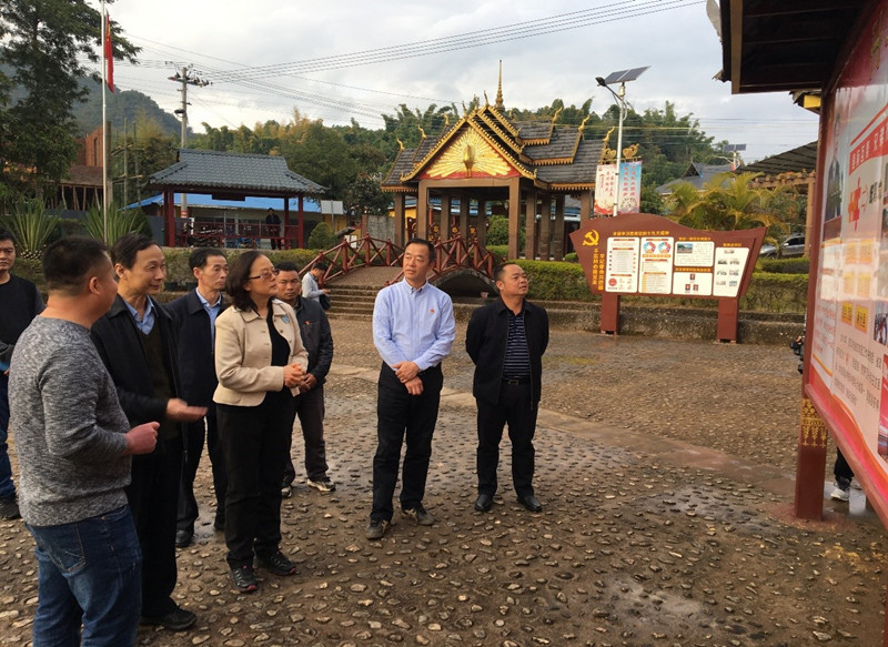 中国乡村发展协会-协会新闻